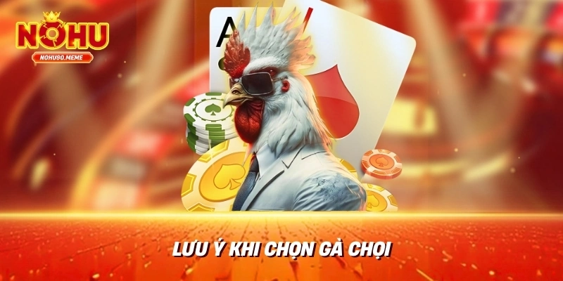 Lưu ý khi chọn gà chọi